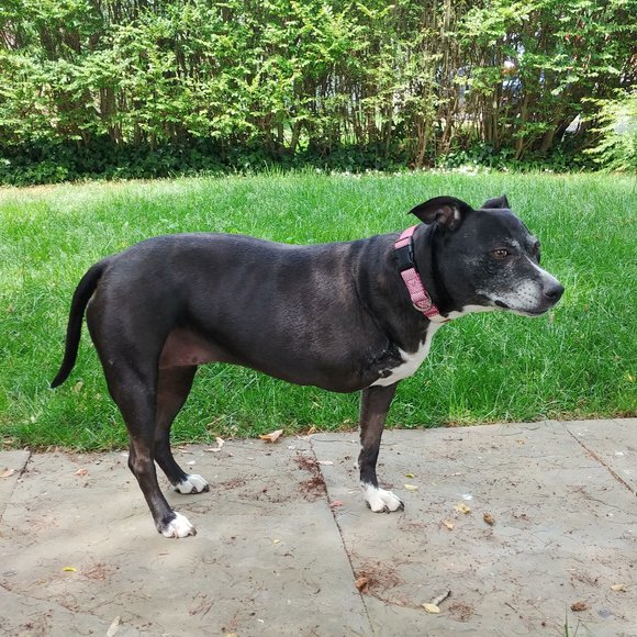 MEET YOUR POSHER, Tatiana ππ π»πΆπ - Picture 7 of 15